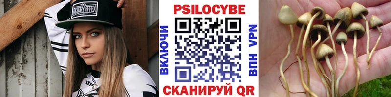 это состав  Ливны  Псилоцибиновые грибы Cubensis 